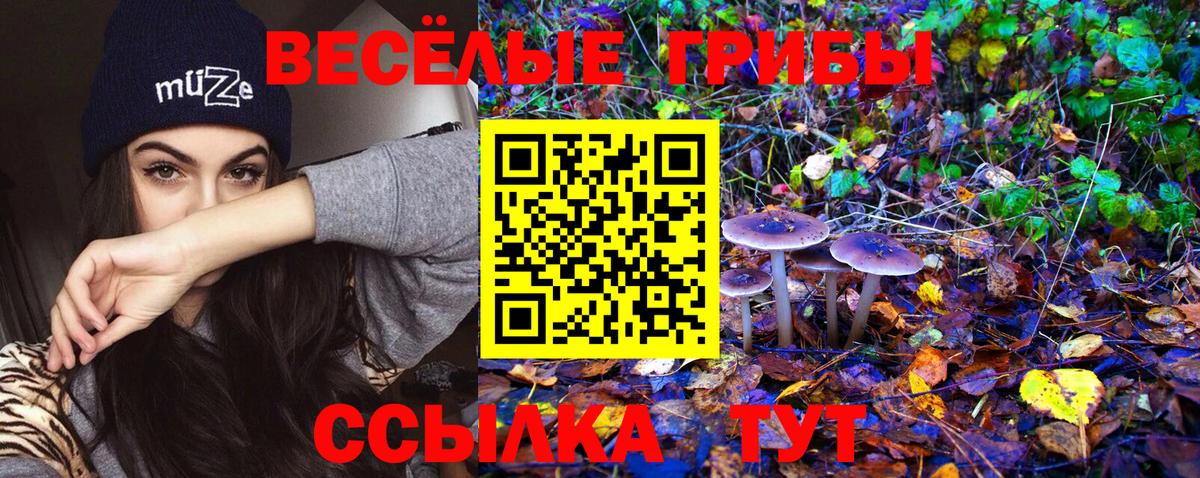 Псилоцибиновые грибы Cubensis Уварово