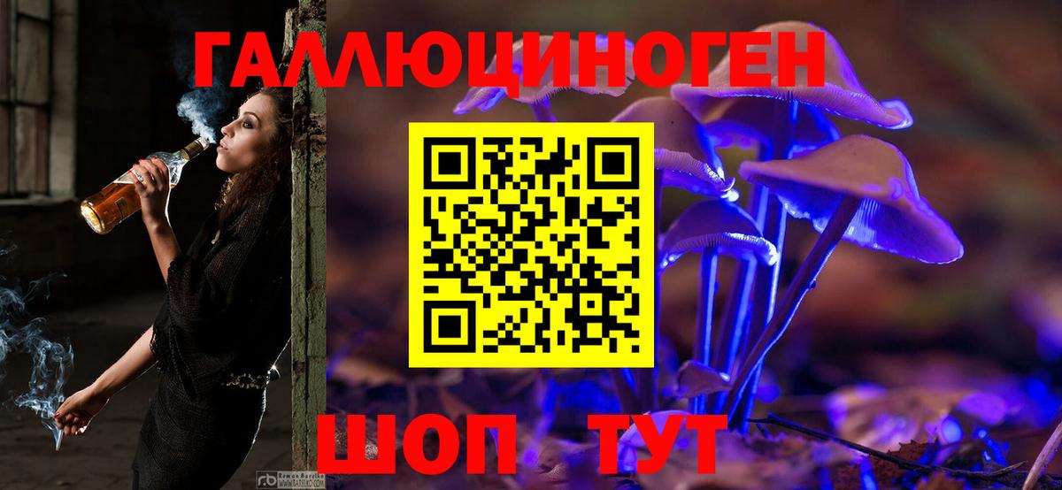 Уварово  Псилоцибиновые грибы GOLDEN TEACHER  Вход с VPN 
